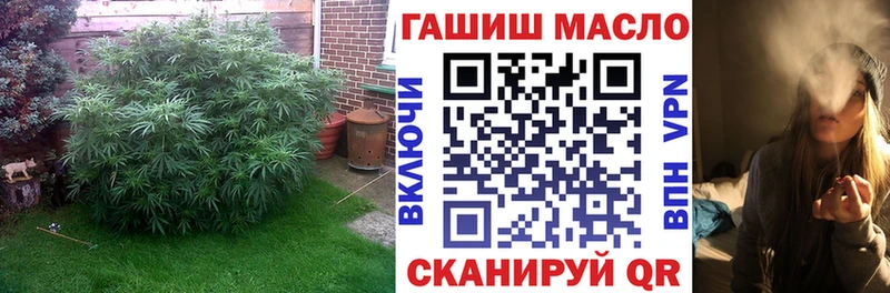 наркошоп  Скопин  Дистиллят ТГК гашишное масло 
