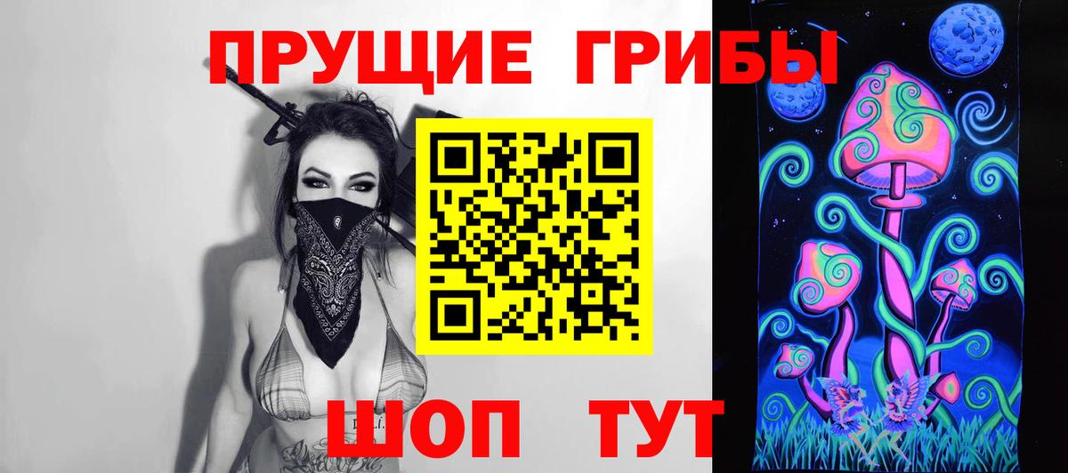 Галлюциногенные грибы Psilocybine cubensis Скопин